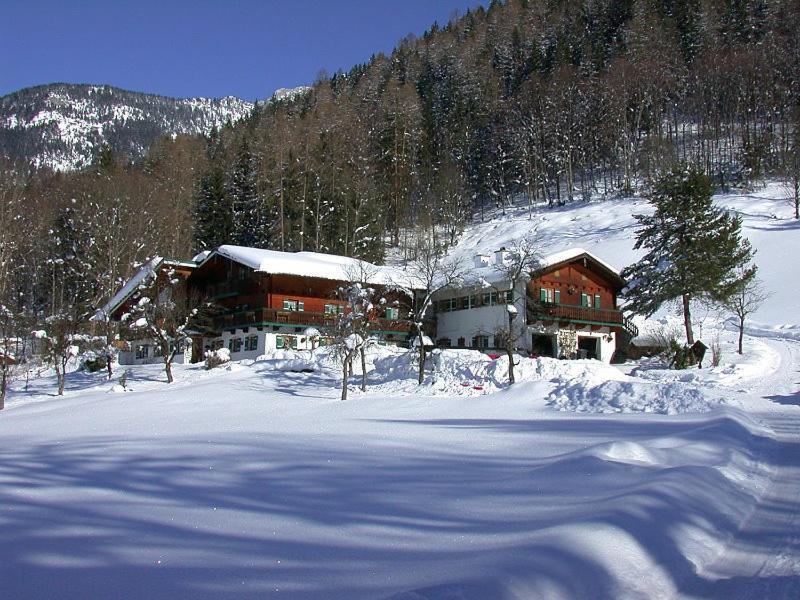Apartment Malerlehen *